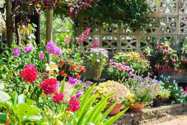 Spring Garden Maintenance in Clovis