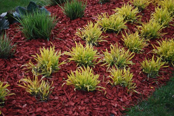 Red Mulch Installation in Clovis
