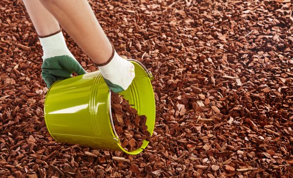 Wood Chip Landscaping in Clovis