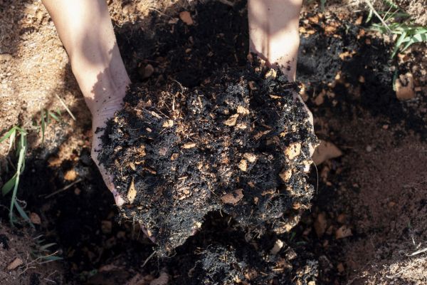 Organic Mulch Installation in Clovis