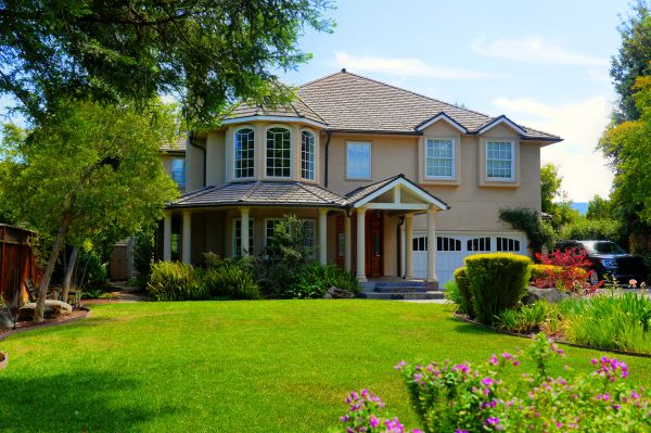 Large Yard Landscaping in Clovis