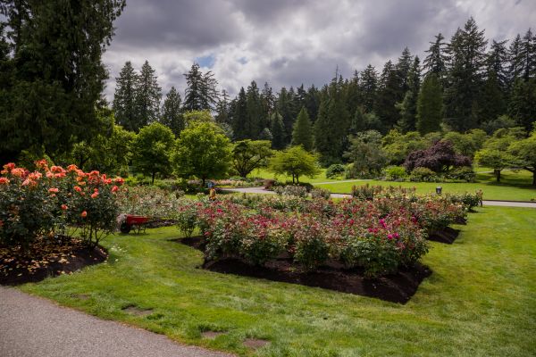 Flower Garden Landscaping in Clovis