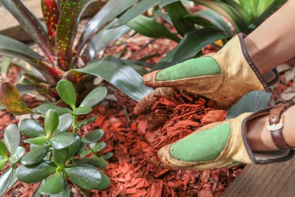 Residential Mulching in Clovis