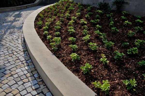 Commercial Mulching in Clovis