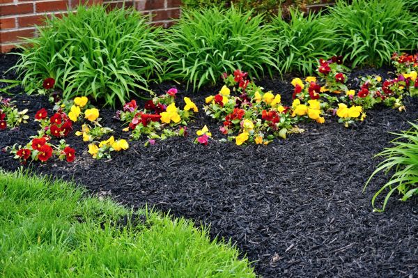 Apartment Mulching in Clovis